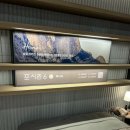 호텔리브레 | W4. 혼수 매트리스 용산아이파크몰 씰리(sealy) 리브레 K 구입 (시몬스/돌레란/한샘/에이스 매트리스 비교)