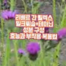 리베브 이미지