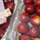 담락참치일잔장림점 이미지