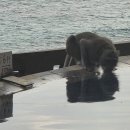 (주)에스지빌라앤호텔 | 발리 신혼여행 울루세가라 풀빌라 오션뷰 풀빌라 인피니티풀 시설후기