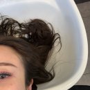 센스 | [대구 헤어] 대구 미용실 루센스 헤어 클리닉 후기