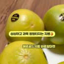 더바로팜