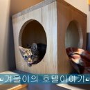 더조은동물의료센터 이미지