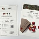 용지전단