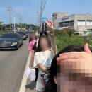 이모저모 일상모음 12