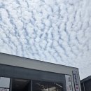 삼동소바광주 - 광산구 하남마항로12번안길 10 | 하남지구 맛집 삼동소바 광주하남점 방문 후기