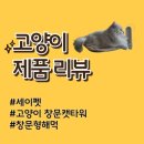 라라캣 | 고양이 용품 : 세이펫 고양이 창문캣타워 L사이즈 후기