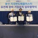 디에스디 이미지