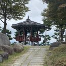 일출약초