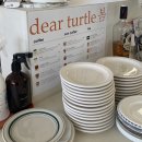디어터틀(dear turtle) 이미지