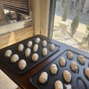 모락연화 소금빵 만들기 클래스 후기