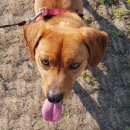 속초해변(남문) 이미지