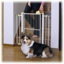 강아지집 이미지