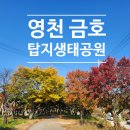 탑지 생태공원 이미지