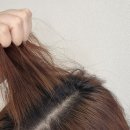 낙원미용실 | 천안 신부동 미용실 뉴올 신부점 기장추가 없는 염색맛집 미오쌤 솔직후기