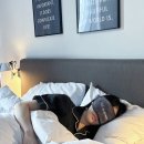 호텔엘 이미지