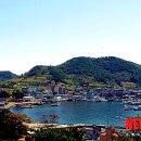 미조항