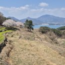 왕지로타리 이미지