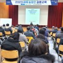 대상화훼