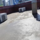 백화 양어장 이미지