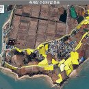 2025년 섬 수선화축제 이미지