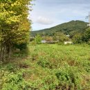 중광농장 이미지