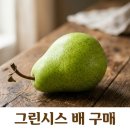 그린시스 배 구매는? 전참시 이영자 초록배 가격 구매처 총정리
