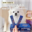 건강 | 강아지유산균 추천｜펫쏘몰프로바이오틱스 장건강 후기