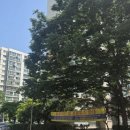 주공아파트 이미지