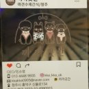 까까곳간 이미지