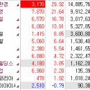 동양피엘