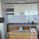 서귀동-24 | 임신 24주에 다녀온 제주도 태교여행 (2) #돌고래