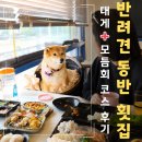 월곶어울림센터 2층 | 월곶수산마켓 솔직 후기: 반려견 동반 대게 코스, 직접 먹어봤다