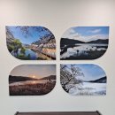 고복자연공원 수변 길 이미지