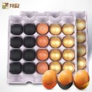 채담이네 이미지