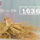 보성인삼