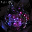 조선미꽃방