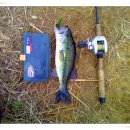 용화유치원 이미지