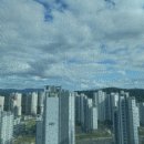 우고스포츠 이미지