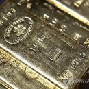 544 이미지