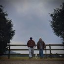 오롯또똣 애월 자쿠지 스테이 | 제주 애견동반 여행 가볼만한곳 (애월숙소/서귀포맛집/월정리/하도리) 2박3일 part.2