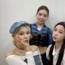 베리달 이미지