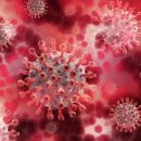 마스터플러스병원 이미지