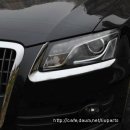 [10055] Audi Q5 아이라인 이미지