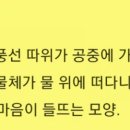 빈둥 이미지