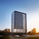 스테이다옴 이미지