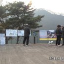 백야리 Daum카페