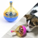 미래애견 이미지