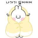 앨리스트리 이미지