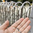 욱수초등학교 이미지